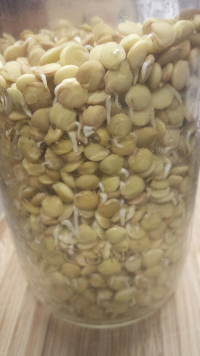 20151210_074002.jpg image