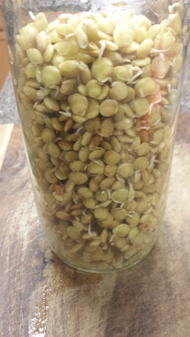 20151210_191644.jpg image